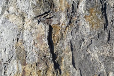 grunge ahşap desen arkaplanı