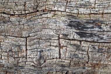 grunge ahşap desen arkaplanı