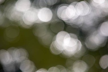 Beyaz bokeh soyut arkaplan dokusu