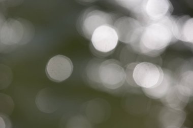 Beyaz bokeh soyut arkaplan dokusu