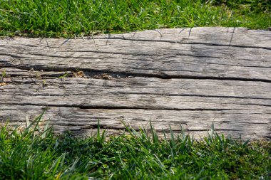 Çimen arka planında eski ahşap dokusu