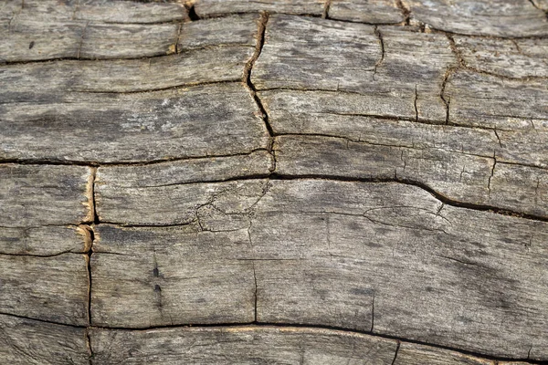 Текстура Гранж Дерева — стоковое фото