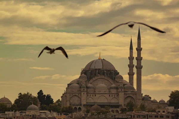 Paysage Urbain Istanbul Avec Des Silhouettes Anciennes Mosquées Minarets Coucher — Photo