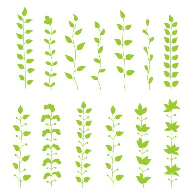 Dekoratif yeşil dal kümesi. Vektör çizim