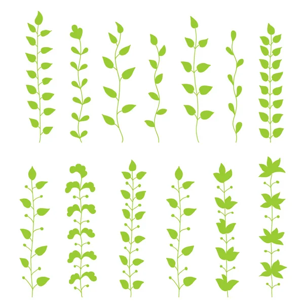 Dekoratif yeşil dal kümesi. Vektör çizim