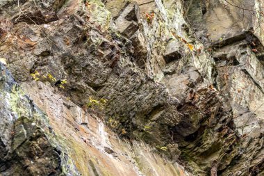 Eski taş ocağının büyük uçurum kenarı kayalık duvarlar için klasik bir semboldür. Serbest tırmanış fanatikleri ise kayalık askı ve kaya kıyısında şist madenciliği yapar.