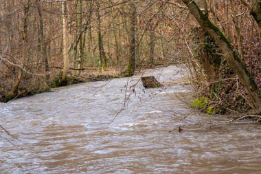 Sel sularını devrilmiş bir ağaçla doldurmak doğanın gücünü ve tehlikeli hava koşullarına, dolu fırtınalarına, fırtınalara, kasırgalara, kasırgalara ve kasırgalara karşı sigorta ihtiyacını gösterir.