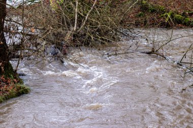 Sel sularını devrilmiş bir ağaçla doldurmak doğanın gücünü ve tehlikeli hava koşullarına, dolu fırtınalarına, fırtınalara, kasırgalara, kasırgalara ve kasırgalara karşı sigorta ihtiyacını gösterir.