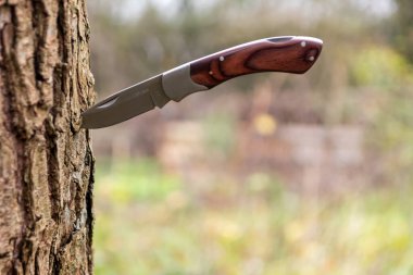 Sharp knife stuck into the bark of a tree with a brown wooden grip symbolizes outdoor feeling, outdoor adventures and survival in the wilderness as well as camping and handicraft and do it yourself