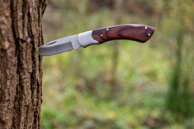 Sharp knife stuck into the bark of a tree with a brown wooden grip symbolizes outdoor feeling, outdoor adventures and survival in the wilderness as well as camping and handicraft and do it yourself