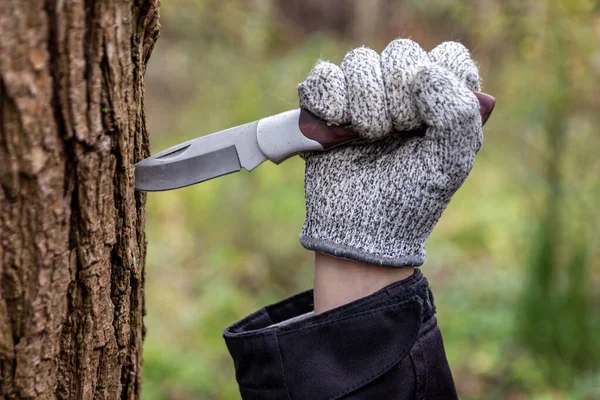 Mladý Chlapec Odřezává Kůru Stromu Ostrým Nožem Jako Kapesní Nůž — Stock fotografie
