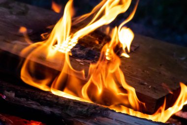 Shiny burning fire in the dark shows the romantic side of a campfire or bonfire, fire safety and the need of a fire insurance as well as survival adventures outdoor with the children and the family