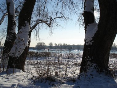 Şiddetli kar yağışı sonrasında kar, ağaçlar ve plajlarla kaplı bir parkta kış manzarası. Kar fırtınası, doğal bir manzarada soğuk bir kar tabakası oluştururken kış sporları için ideal bir hava yaratıyor.