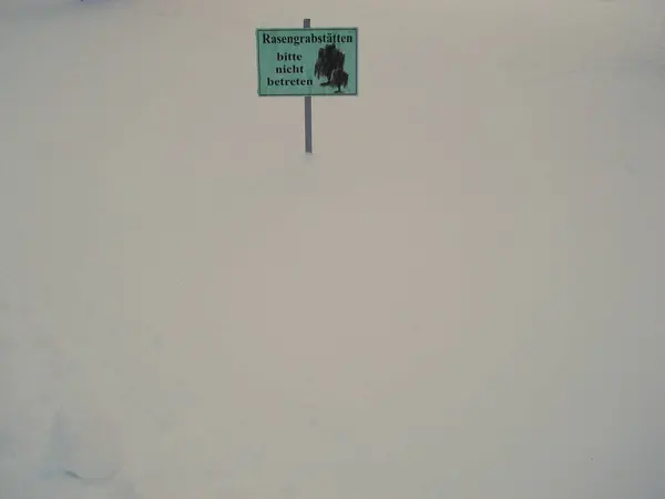Зимова Сцена Озера Парку Покритими Снігом Деревами Пляжем Грудня Січень — стокове фото