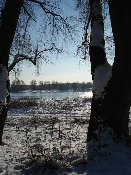 Scena Invernale Lago Parco Con Alberi Innevati Spiaggia Dicembre Gennaio — Foto Stock