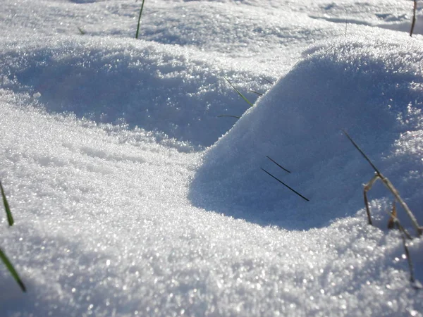 Winterse Scène Van Een Meer Een Park Met Besneeuwde Bomen — Stockfoto