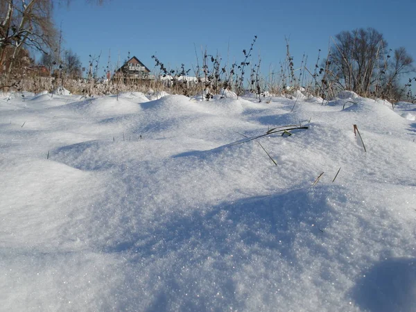 Vinterscenen Sjö Park Med Snötäckta Träd Och Strand Från December — Stockfoto