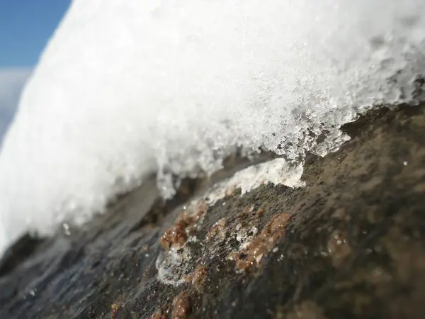 Zimní Scéna Jezera Parku Zasněženými Stromy Pláží Prosince Ledna Extrémním — Stock fotografie
