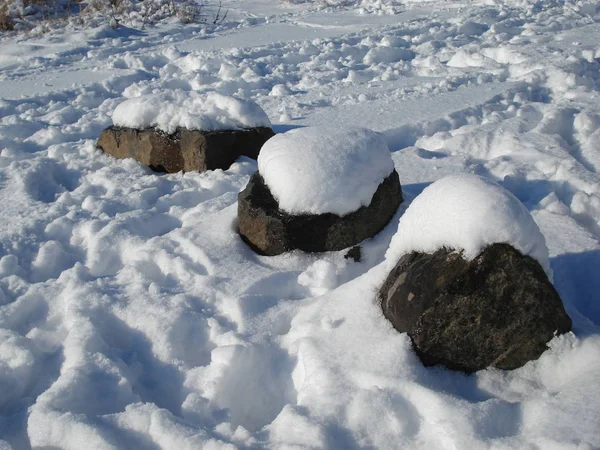 Zimowa Scena Jeziora Parku Pokrytymi Śniegiem Drzewami Plażą Grudnia Stycznia — Zdjęcie stockowe