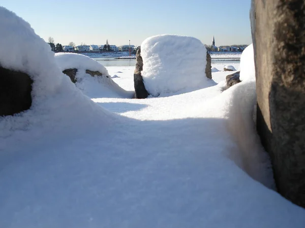 Escena Invernal Lago Parque Con Árboles Cubiertos Nieve Playa Diciembre — Foto de Stock