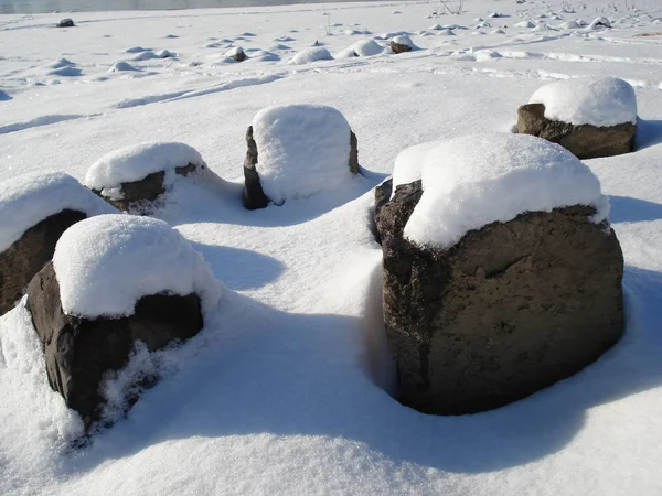 Escena Invernal Lago Parque Con Árboles Cubiertos Nieve Playa Diciembre — Foto de Stock