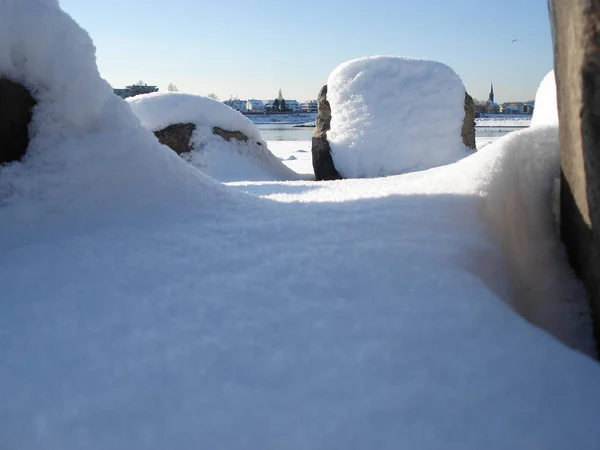 Escena Invernal Lago Parque Con Árboles Cubiertos Nieve Playa Diciembre —  Fotos de Stock