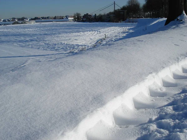 Winterly Scene Lake Park Snow Covered Trees Beach December January — 스톡 사진