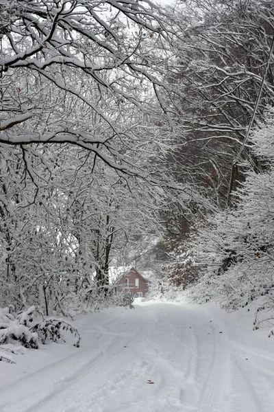 Winterlicher Wald Nach Extremen Schneefällen Winter Schafft Ein Weißes Winterwunderland — Stockfoto