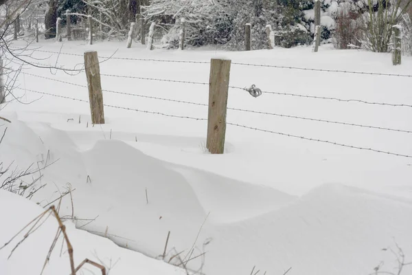 Zimowa Scena Gospodarstwa Grudnia Stycznia Ekstremalnych Opadach Śniegu Jak Zamieć — Zdjęcie stockowe