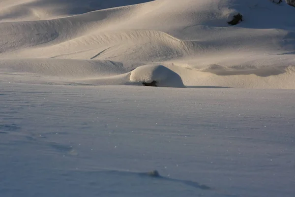 Winterly Scene December January Extreme Snowfall Blizzard Creates Frosty Layer — Stock Photo, Image