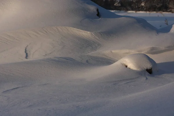 Winterly Scene December January Extreme Snowfall Blizzard Creates Frosty Layer — Stock Photo, Image