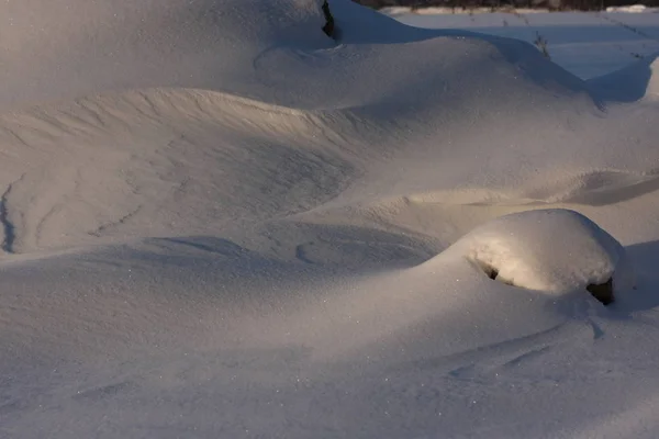 Winterly Scene December January Extreme Snowfall Blizzard Creates Frosty Layer — 스톡 사진