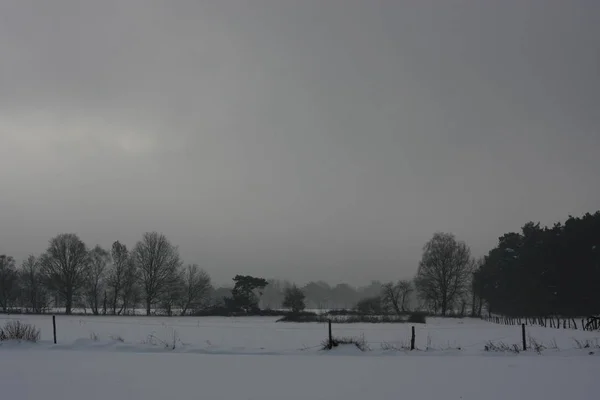 Winterly Scene December January Extreme Snowfall Blizzard Creates Frosty Layer — 스톡 사진