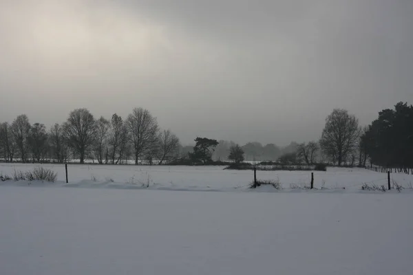 Winterly Scene December January Extreme Snowfall Blizzard Creates Frosty Layer — 스톡 사진