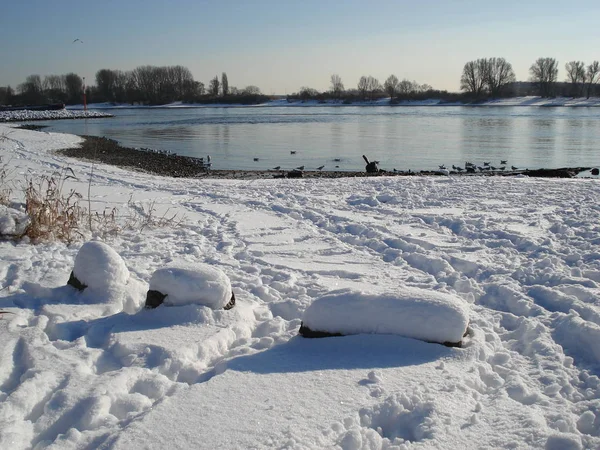 Snowy River Shore Sunny Winter Day Stock Image