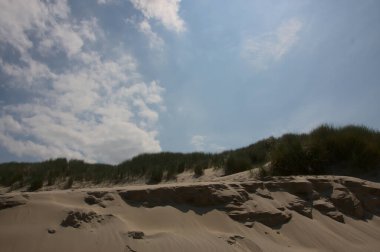 Kum ve yeşil otlarla kaplı manzara