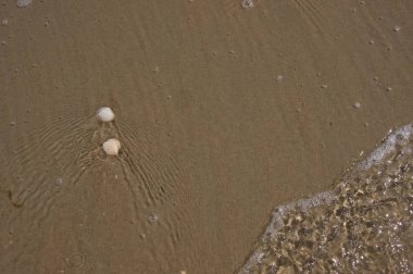 Deniz kumlu kıyı manzarası