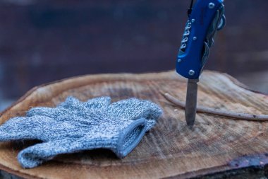 blue gloves and knife on wooden stump with blurred background and adventure atmosphere for kids and grown ups