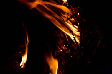 Shiny burning fire in the dark shows the romantic side of a campfire or bonfire, fire safety and the need of a fire insurance as well as survival adventures outdoor with the children and the family