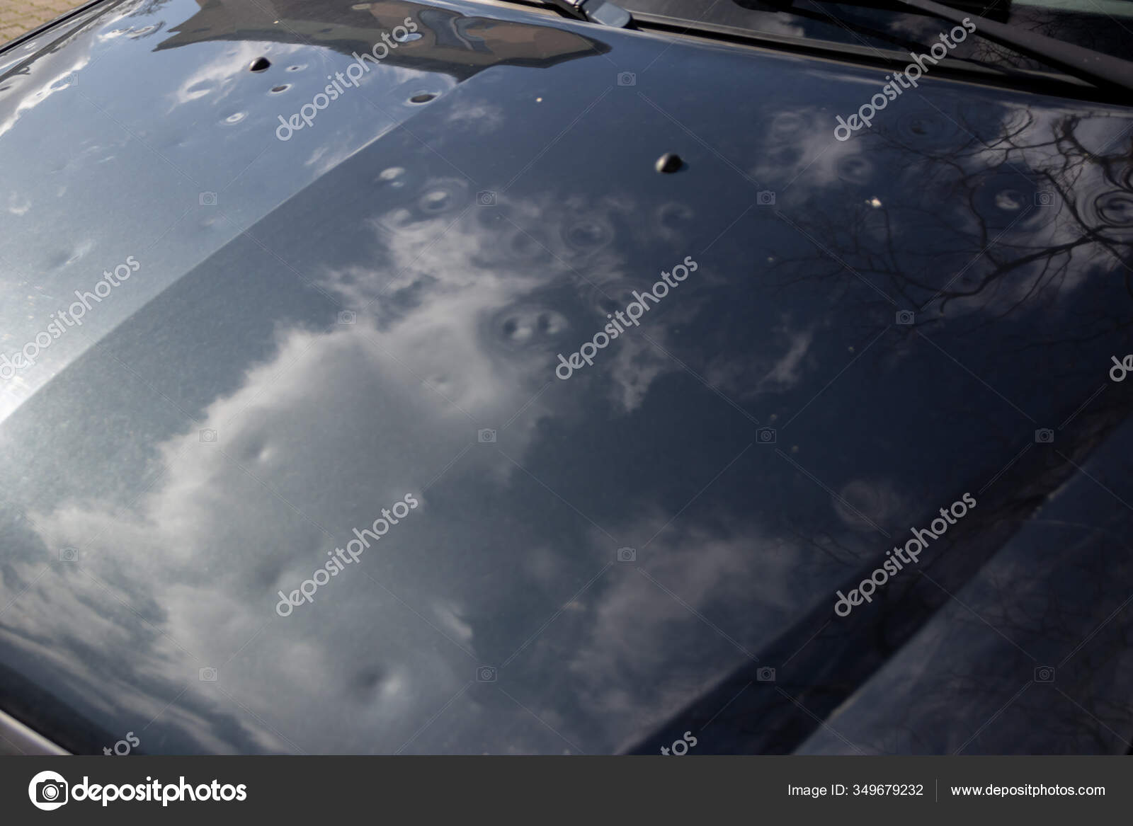 On a car hood, in nature