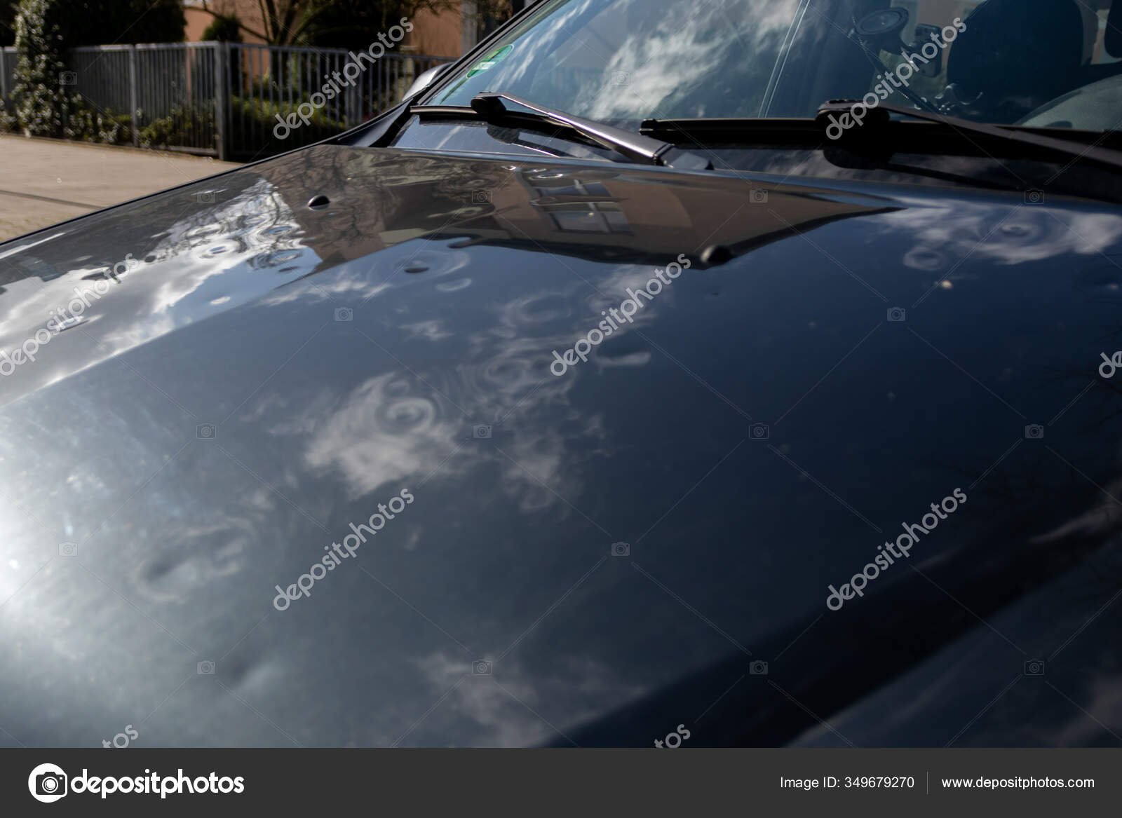 On a car hood, in nature