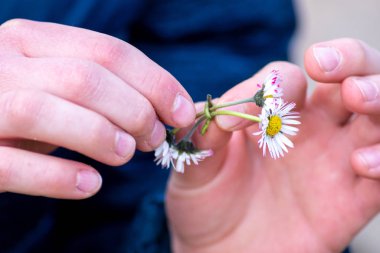 Elinde küçük beyaz çiçekleri olan bir kadın.