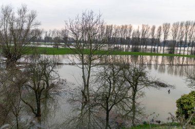 Nehir ırmağını ve sulak alanları taşıran sel suları devrilmiş bir ağaçla birlikte doğanın gücünü ve tehlikeli hava şartlarına, fırtınalara, kasırgalara, kasırgalara ve kasırgalara karşı sigorta ihtiyacını gösterir.