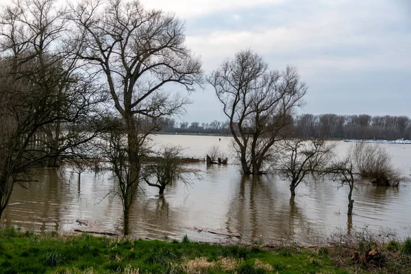 Die Überflutung Von Fluss Und Feuchtgebieten Nach Einem Hochwasser Mit — Stockfoto