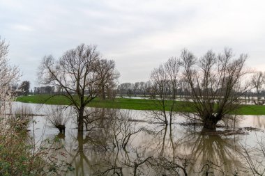 Nehir ırmağını ve sulak alanları taşıran sel suları devrilmiş bir ağaçla birlikte doğanın gücünü ve tehlikeli hava şartlarına, fırtınalara, kasırgalara, kasırgalara ve kasırgalara karşı sigorta ihtiyacını gösterir.