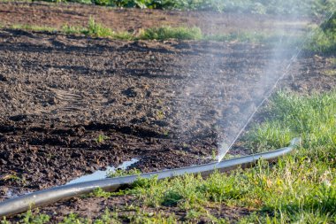 Fıskiye ile sulama bahçesi ya da tarla