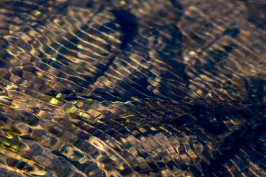 Kristal berrak bir su deresinin suyundaki ipeksi dalgalar, yüksek açılı doğal arka plan, temiz yüzen bir dereyle sağlıklı bir dağ pınarındaki zen meditasyonunu ve küçük dalgaları gösterir.