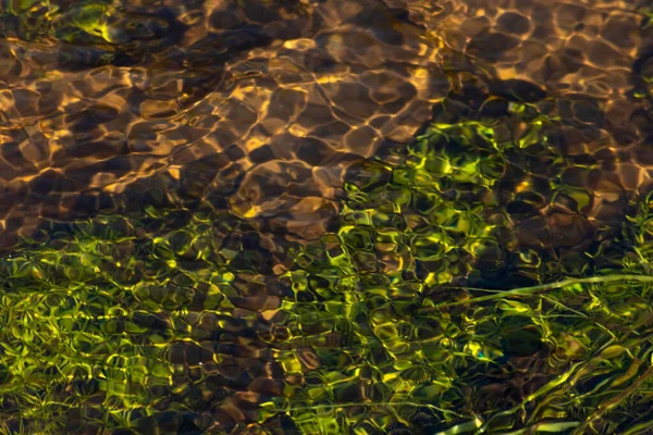 高い角度のビューで牧歌的な自然背景として透明な水の小川の水の中に絹のような波紋は 明確な浮動ストリームと山の春に緑の水の植物や小さな波を示しています — ストック写真