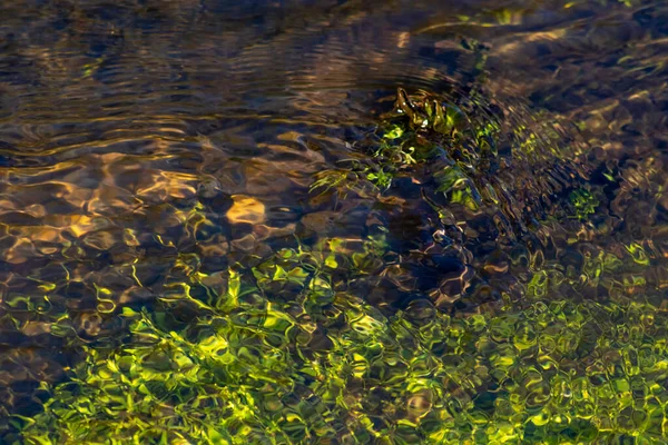 Increspature Setose Acqua Torrente Acqua Cristallina Come Sfondo Naturale Idilliaco — Foto Stock