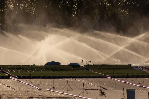 Bewässerungssystem Auf Dem Feld — Stockfoto